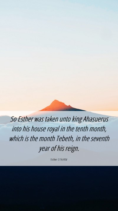 Picture 06 - Esther 2:16 ASV Mobile Phone Wallpaper - So Esther was taken unto king Ahasuerus into his - Mobile Bible Verse Wallpaper