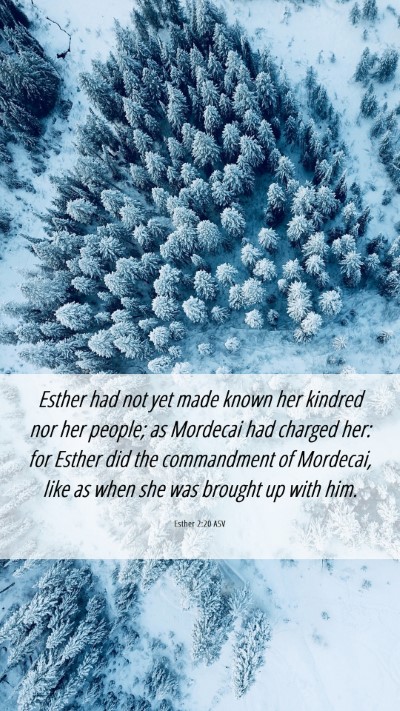 Picture 06 - Esther 2:20 ASV Mobile Phone Wallpaper - Esther had not yet made known her kindred nor her - Mobile Bible Verse Wallpaper