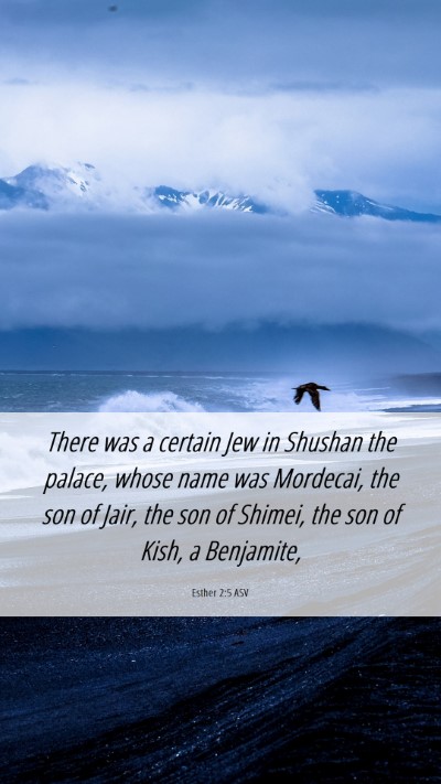 Picture 06 - Esther 2:5 ASV Mobile Phone Wallpaper - There was a certain Jew in Shushan the palace, - Mobile Bible Verse Wallpaper