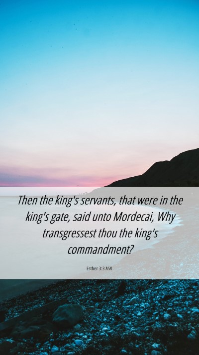Picture 06 - Esther 3:3 ASV Mobile Phone Wallpaper - Then the king's servants, that were in the king's - Mobile Bible Verse Wallpaper