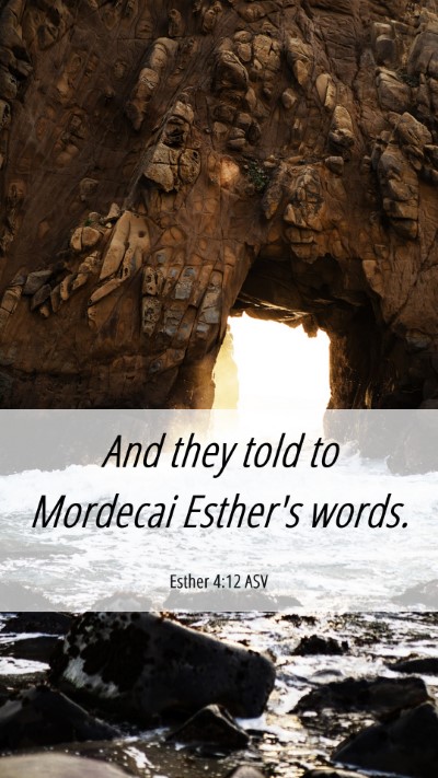 Picture 06 - Esther 4:12 ASV Mobile Phone Wallpaper - And they told to Mordecai Esther's - Mobile Bible Verse Wallpaper