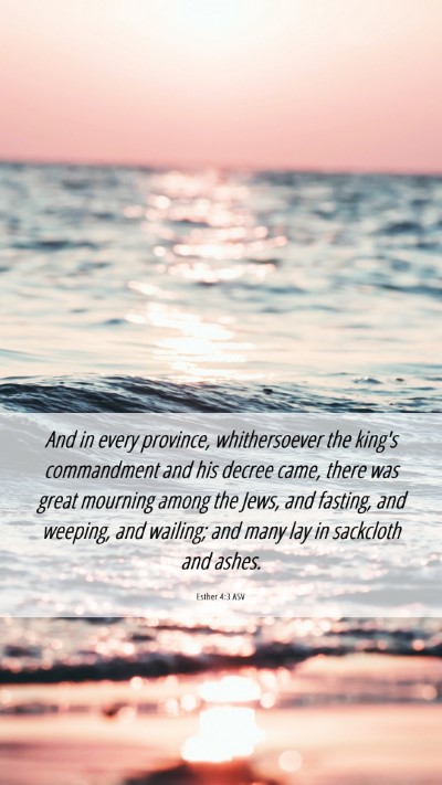 Picture 06 - Esther 4:3 ASV Mobile Phone Wallpaper - And in every province, whithersoever the king's - Mobile Bible Verse Wallpaper