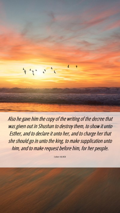 Picture 06 - Esther 4:8 ASV Mobile Phone Wallpaper - Also he gave him the copy of the writing of the - Mobile Bible Verse Wallpaper
