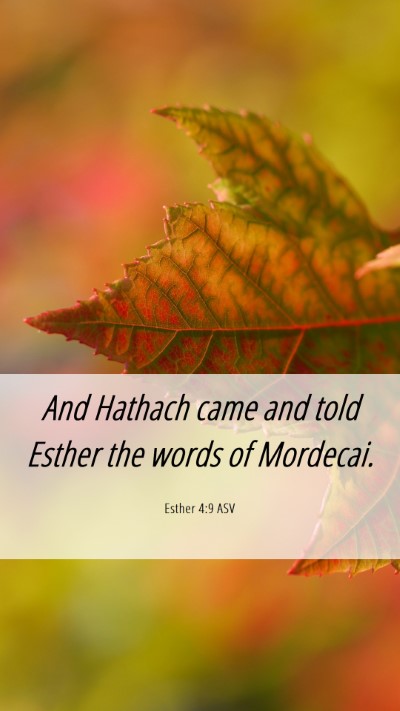 Picture 06 - Esther 4:9 ASV Mobile Phone Wallpaper - And Hathach came and told Esther the words of - Mobile Bible Verse Wallpaper
