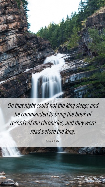 Picture 06 - Esther 6:1 ASV Mobile Phone Wallpaper - On that night could not the king sleep; and he - Mobile Bible Verse Wallpaper