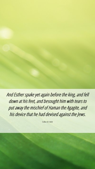 Picture 06 - Esther 8:3 ASV Mobile Phone Wallpaper - And Esther spake yet again before the king, and - Mobile Bible Verse Wallpaper