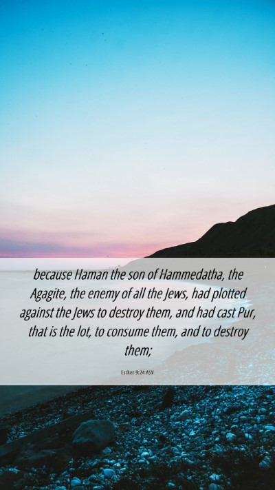Picture 06 - Esther 9:24 ASV Mobile Phone Wallpaper - because Haman the son of Hammedatha, the Agagite, - Mobile Bible Verse Wallpaper