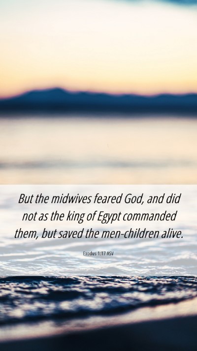 Picture 06 - Exodus 1:17 ASV Mobile Phone Wallpaper - But the midwives feared God, and did not as the - Mobile Bible Verse Wallpaper