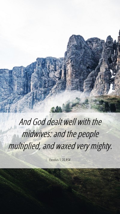 Picture 06 - Exodus 1:20 ASV Mobile Phone Wallpaper - And God dealt well with the midwives: and the - Mobile Bible Verse Wallpaper