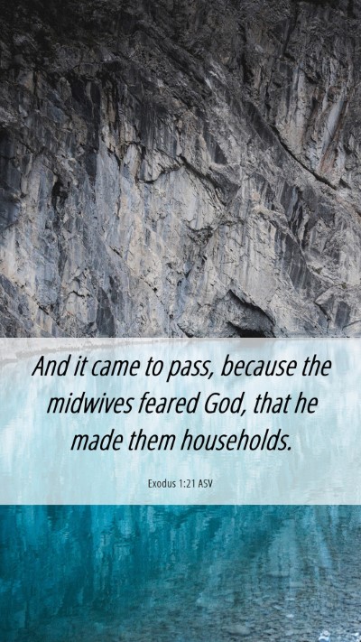 Picture 06 - Exodus 1:21 ASV Mobile Phone Wallpaper - And it came to pass, because the midwives feared - Mobile Bible Verse Wallpaper