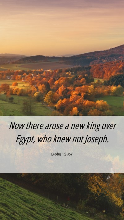 Picture 06 - Exodus 1:8 ASV Mobile Phone Wallpaper - Now there arose a new king over Egypt, who knew - Mobile Bible Verse Wallpaper