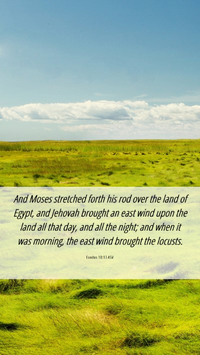 Picture 06 - Exodus 10:13 ASV Mobile Phone Wallpaper - And Moses stretched forth his rod over the land - Mobile Bible Verse Wallpaper