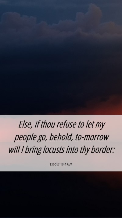 Picture 06 - Exodus 10:4 ASV Mobile Phone Wallpaper - Else, if thou refuse to let my people go, behold, - Mobile Bible Verse Wallpaper