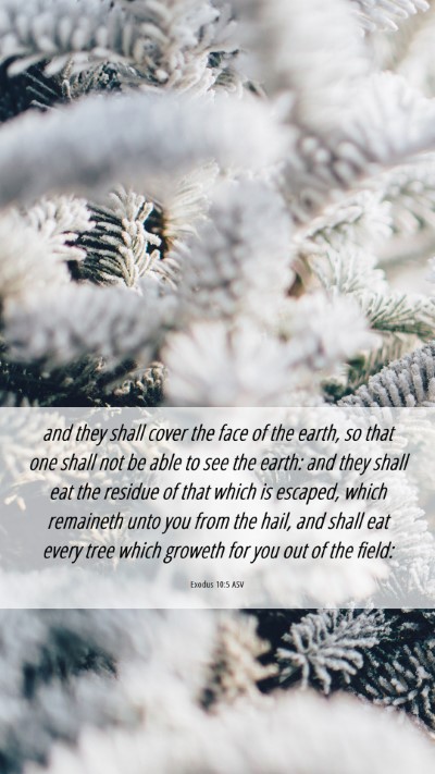 Picture 06 - Exodus 10:5 ASV Mobile Phone Wallpaper - and they shall cover the face of the earth, so - Mobile Bible Verse Wallpaper