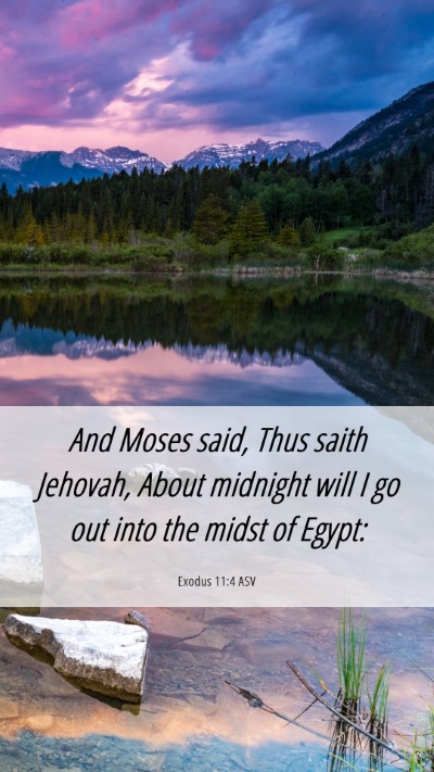 Picture 06 - Exodus 11:4 ASV Mobile Phone Wallpaper - And Moses said, Thus saith Jehovah, About - Mobile Bible Verse Wallpaper