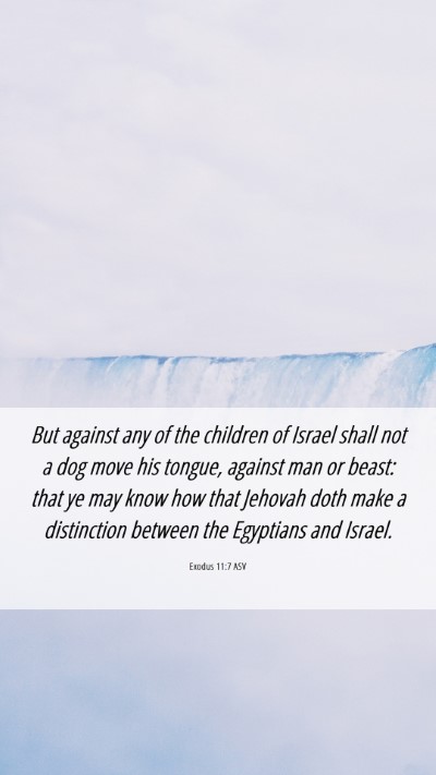 Picture 06 - Exodus 11:7 ASV Mobile Phone Wallpaper - But against any of the children of Israel shall - Mobile Bible Verse Wallpaper