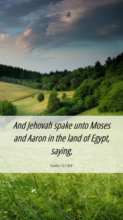 Picture 06 - Exodus 12:1 ASV Mobile Phone Wallpaper - And Jehovah spake unto Moses and Aaron in the - Mobile Bible Verse Wallpaper