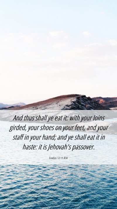 Picture 06 - Exodus 12:11 ASV Mobile Phone Wallpaper - And thus shall ye eat it: with your loins girded, - Mobile Bible Verse Wallpaper