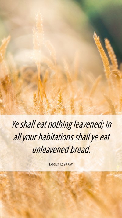 Picture 06 - Exodus 12:20 ASV Mobile Phone Wallpaper - Ye shall eat nothing leavened; in all your - Mobile Bible Verse Wallpaper