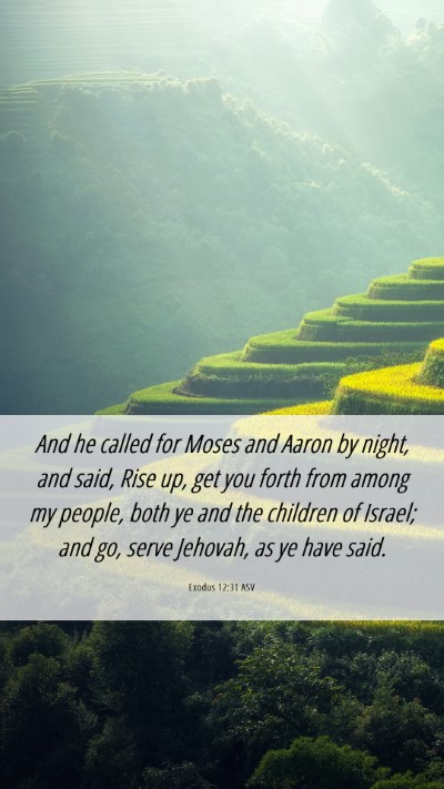 Picture 06 - Exodus 12:31 ASV Mobile Phone Wallpaper - And he called for Moses and Aaron by night, and - Mobile Bible Verse Wallpaper