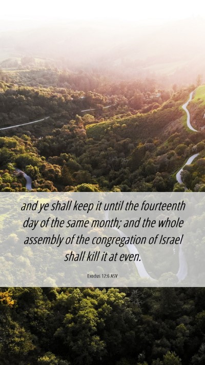 Picture 06 - Exodus 12:6 ASV Mobile Phone Wallpaper - and ye shall keep it until the fourteenth day of - Mobile Bible Verse Wallpaper