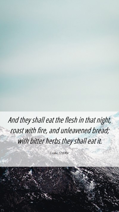 Picture 06 - Exodus 12:8 ASV Mobile Phone Wallpaper - And they shall eat the flesh in that night, roast - Mobile Bible Verse Wallpaper