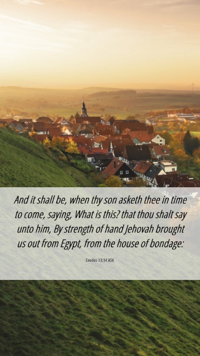 Picture 06 - Exodus 13:14 ASV Mobile Phone Wallpaper - And it shall be, when thy son asketh thee in time - Mobile Bible Verse Wallpaper