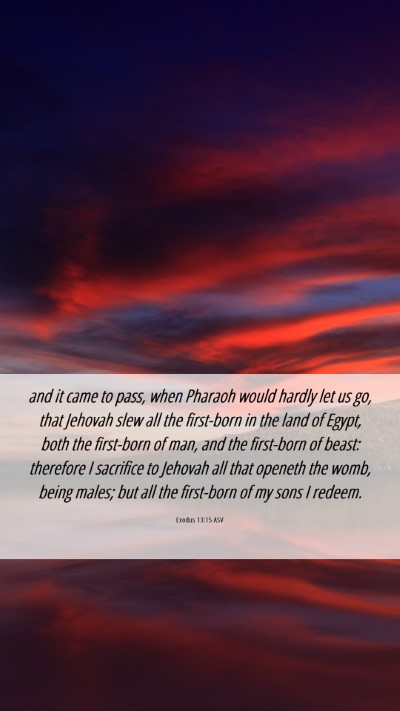 Picture 06 - Exodus 13:15 ASV Mobile Phone Wallpaper - and it came to pass, when Pharaoh would hardly - Mobile Bible Verse Wallpaper