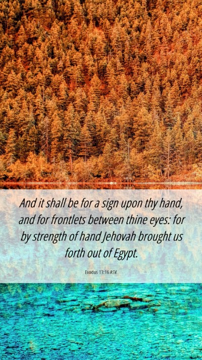 Picture 06 - Exodus 13:16 ASV Mobile Phone Wallpaper - And it shall be for a sign upon thy hand, and for - Mobile Bible Verse Wallpaper