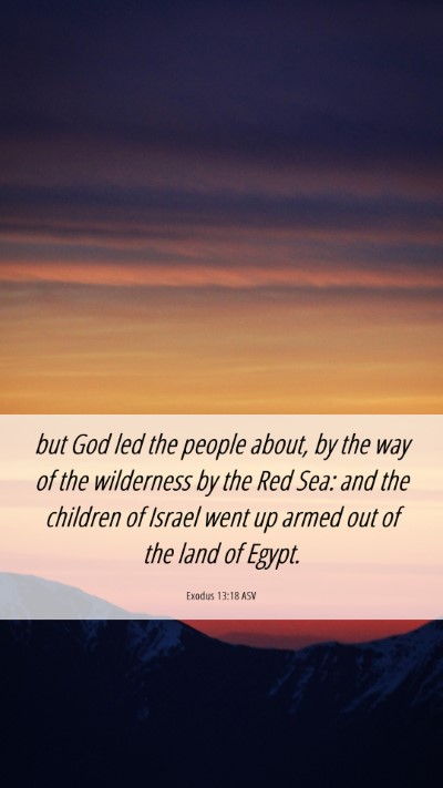 Picture 06 - Exodus 13:18 ASV Mobile Phone Wallpaper - but God led the people about, by the way of the - Mobile Bible Verse Wallpaper