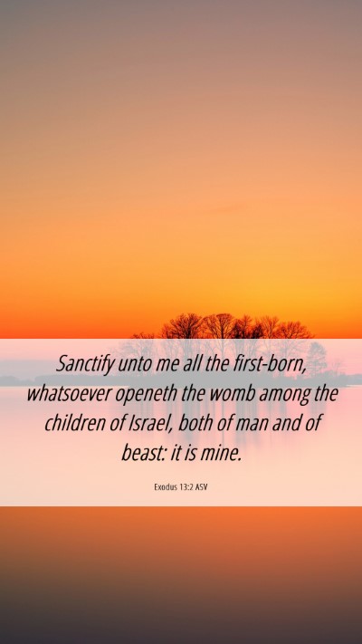 Picture 06 - Exodus 13:2 ASV Mobile Phone Wallpaper - Sanctify unto me all the first-born, whatsoever - Mobile Bible Verse Wallpaper