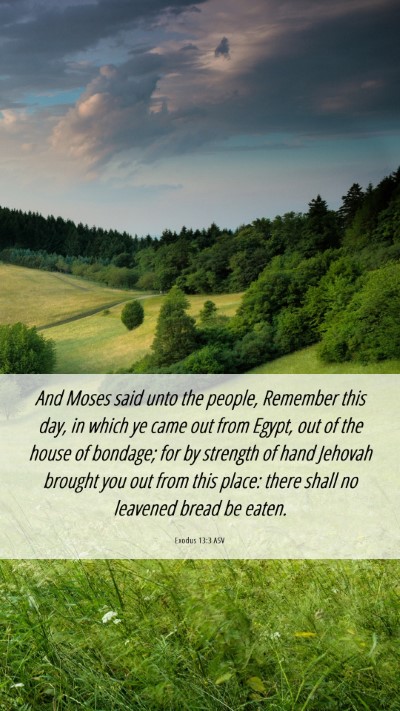 Picture 06 - Exodus 13:3 ASV Mobile Phone Wallpaper - And Moses said unto the people, Remember this - Mobile Bible Verse Wallpaper