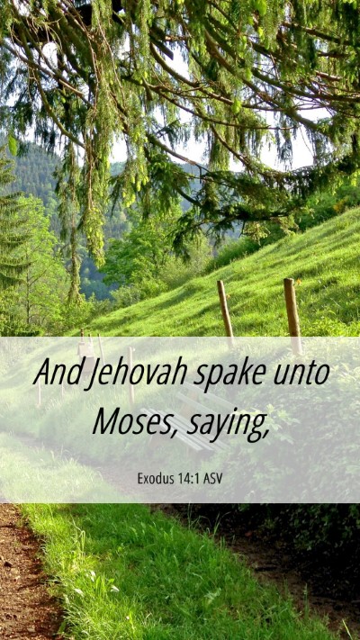 Picture 06 - Exodus 14:1 ASV Mobile Phone Wallpaper - And Jehovah spake unto Moses, - Mobile Bible Verse Wallpaper