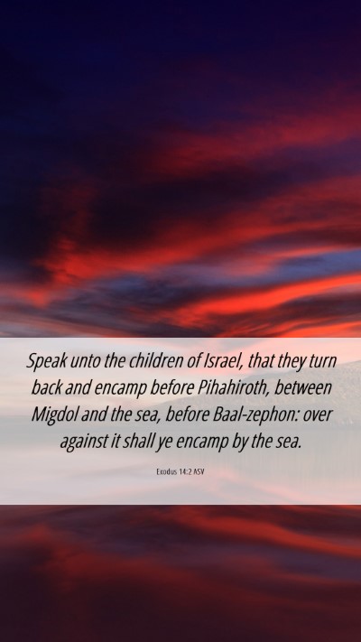 Picture 06 - Exodus 14:2 ASV Mobile Phone Wallpaper - Speak unto the children of Israel, that they turn - Mobile Bible Verse Wallpaper