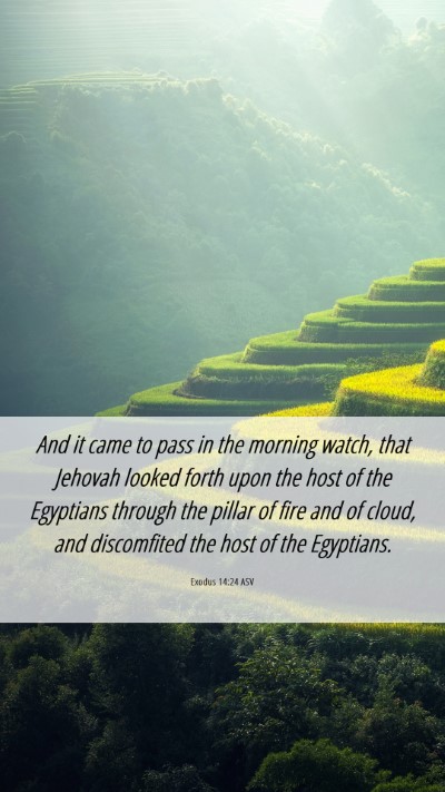 Picture 06 - Exodus 14:24 ASV Mobile Phone Wallpaper - And it came to pass in the morning watch, that - Mobile Bible Verse Wallpaper