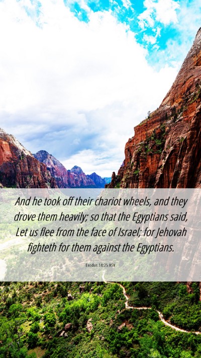 Picture 06 - Exodus 14:25 ASV Mobile Phone Wallpaper - And he took off their chariot wheels, and they - Mobile Bible Verse Wallpaper