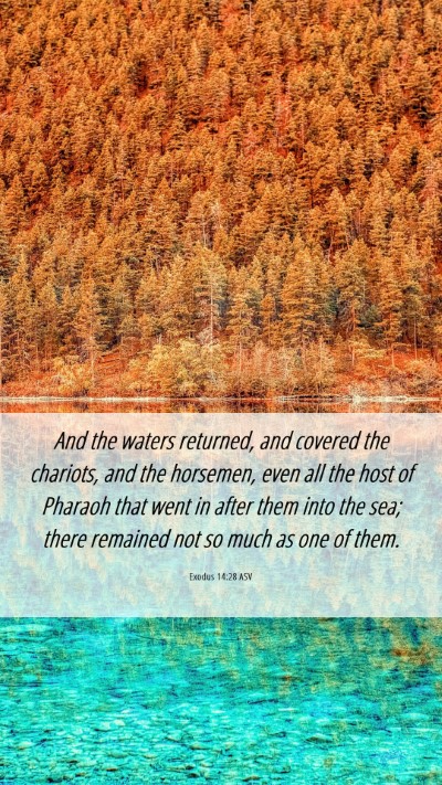 Picture 06 - Exodus 14:28 ASV Mobile Phone Wallpaper - And the waters returned, and covered the - Mobile Bible Verse Wallpaper
