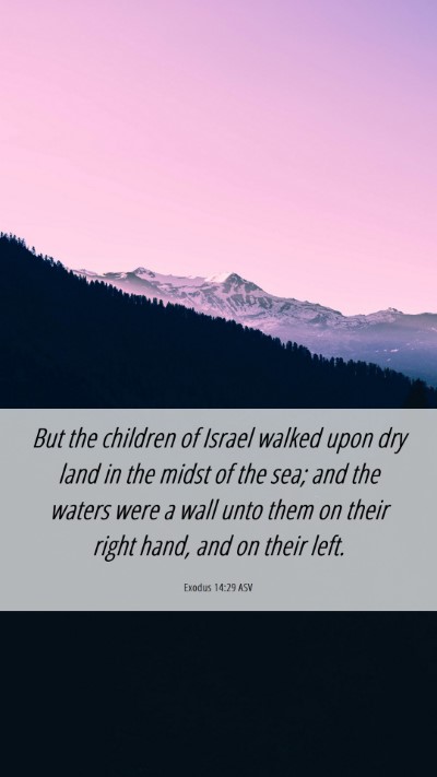 Picture 06 - Exodus 14:29 ASV Mobile Phone Wallpaper - But the children of Israel walked upon dry land - Mobile Bible Verse Wallpaper