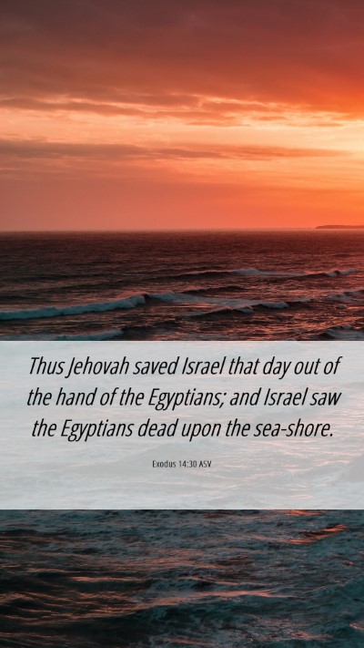 Picture 06 - Exodus 14:30 ASV Mobile Phone Wallpaper - Thus Jehovah saved Israel that day out of the - Mobile Bible Verse Wallpaper