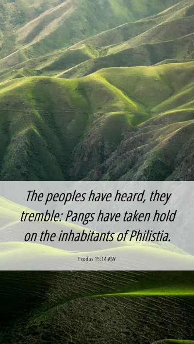 Picture 06 - Exodus 15:14 ASV Mobile Phone Wallpaper - The peoples have heard, they tremble: Pangs have - Mobile Bible Verse Wallpaper