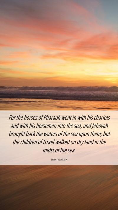 Picture 06 - Exodus 15:19 ASV Mobile Phone Wallpaper - For the horses of Pharaoh went in with his - Mobile Bible Verse Wallpaper