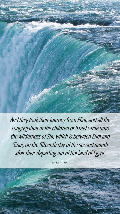 Picture 06 - Exodus 16:1 ASV Mobile Phone Wallpaper - And they took their journey from Elim, and all - Mobile Bible Verse Wallpaper