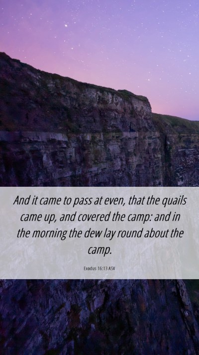 Picture 06 - Exodus 16:13 ASV Mobile Phone Wallpaper - And it came to pass at even, that the quails came - Mobile Bible Verse Wallpaper