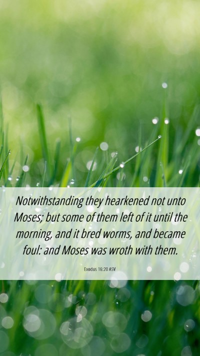 Picture 06 - Exodus 16:20 ASV Mobile Phone Wallpaper - Notwithstanding they hearkened not unto Moses; - Mobile Bible Verse Wallpaper