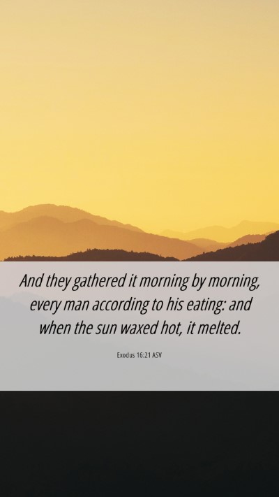 Picture 06 - Exodus 16:21 ASV Mobile Phone Wallpaper - And they gathered it morning by morning, every - Mobile Bible Verse Wallpaper