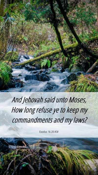 Picture 06 - Exodus 16:28 ASV Mobile Phone Wallpaper - And Jehovah said unto Moses, How long refuse ye - Mobile Bible Verse Wallpaper