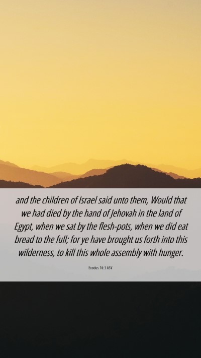 Picture 06 - Exodus 16:3 ASV Mobile Phone Wallpaper - and the children of Israel said unto them, Would - Mobile Bible Verse Wallpaper