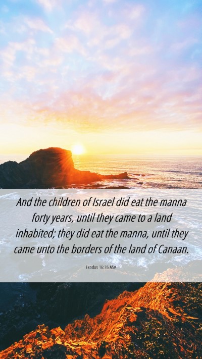 Picture 06 - Exodus 16:35 ASV Mobile Phone Wallpaper - And the children of Israel did eat the manna - Mobile Bible Verse Wallpaper