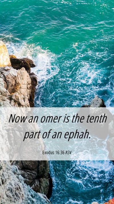 Picture 06 - Exodus 16:36 ASV Mobile Phone Wallpaper - Now an omer is the tenth part of an - Mobile Bible Verse Wallpaper