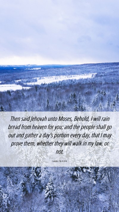 Picture 06 - Exodus 16:4 ASV Mobile Phone Wallpaper - Then said Jehovah unto Moses, Behold, I will rain - Mobile Bible Verse Wallpaper